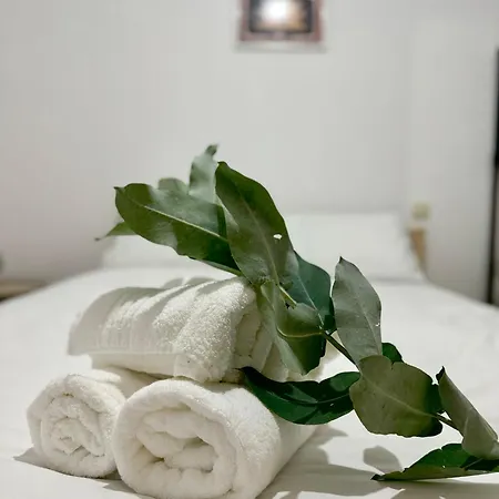 Tu En El Centro De Apartament *