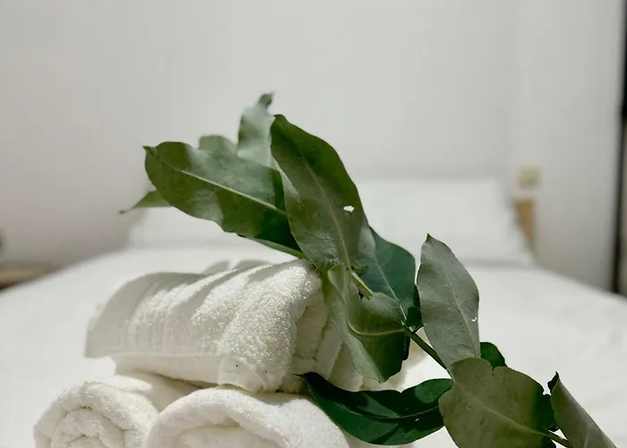 Tu En El Centro De Apartament *